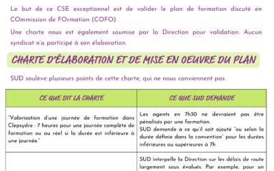 CSE exceptionnel plan de formation 2024