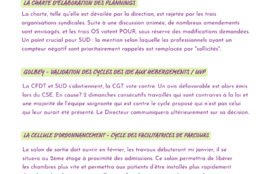 Compte rendu du CSE et FS décembre 2024