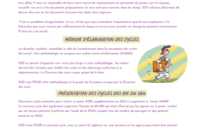 Compte rendu du CSE et FS de mars 2025