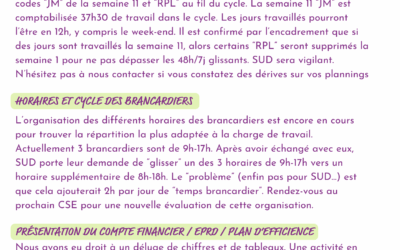 Compte rendu CSE et FS de juin 2025